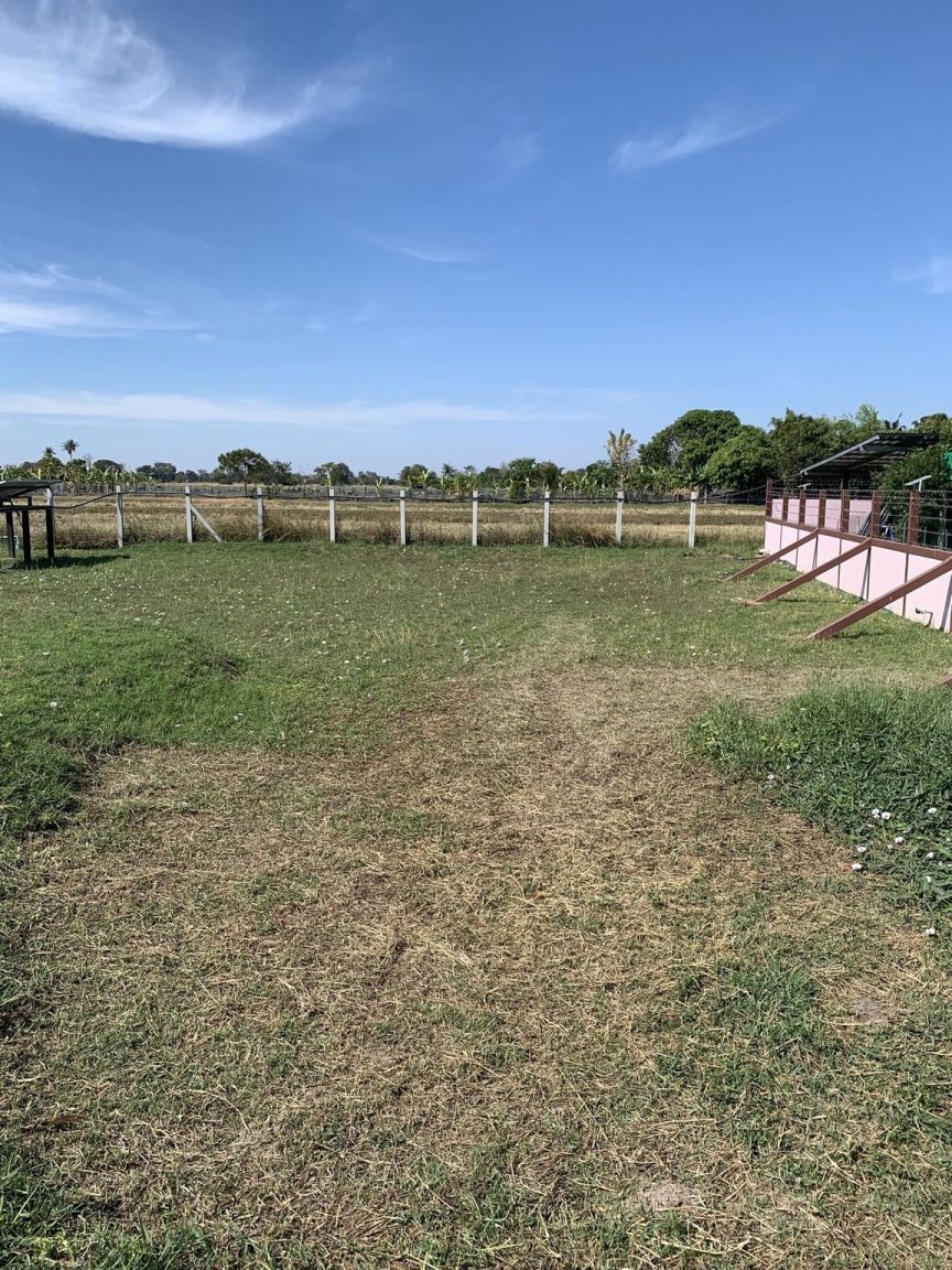 intended_location for Panels.JPG