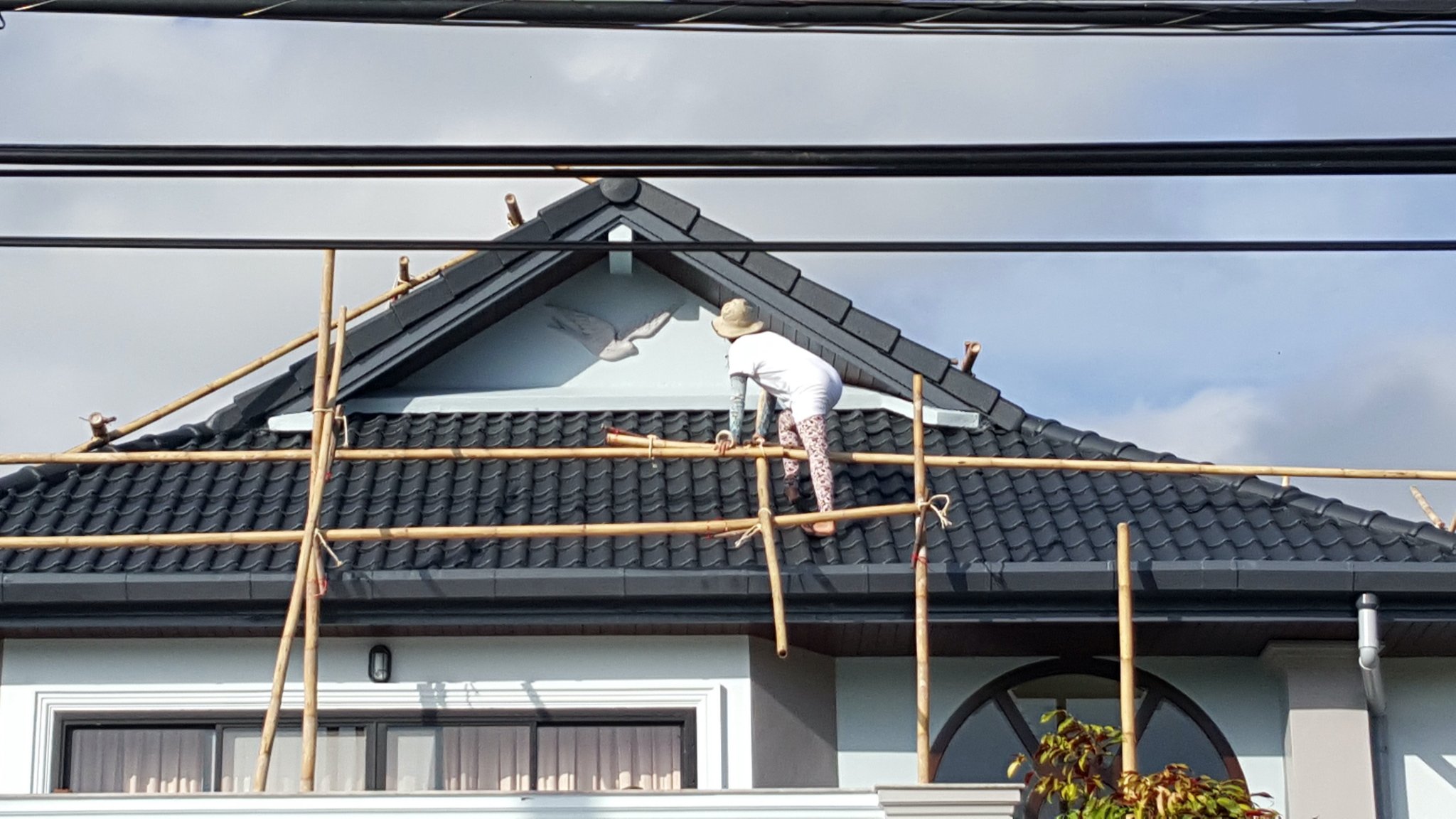 20151127_081325.jpeg