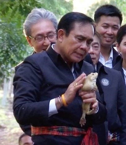2066473527_prayuthfrog.jpg.5603c23d54b3766e1503d8cce279e13f.jpg