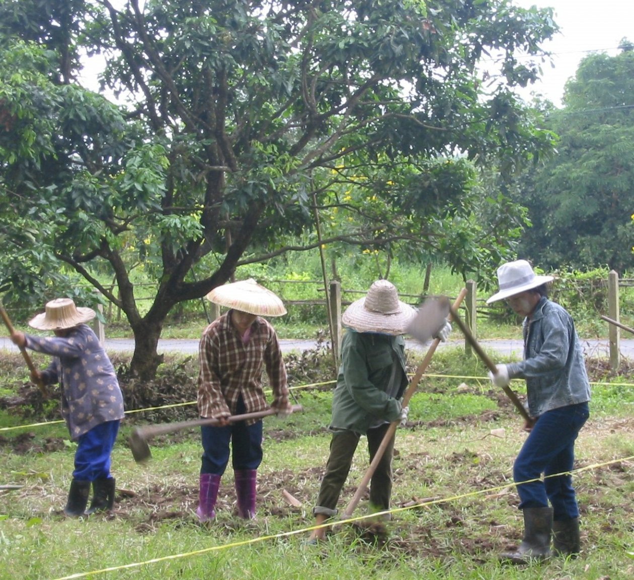 Thai rototiller.jpg