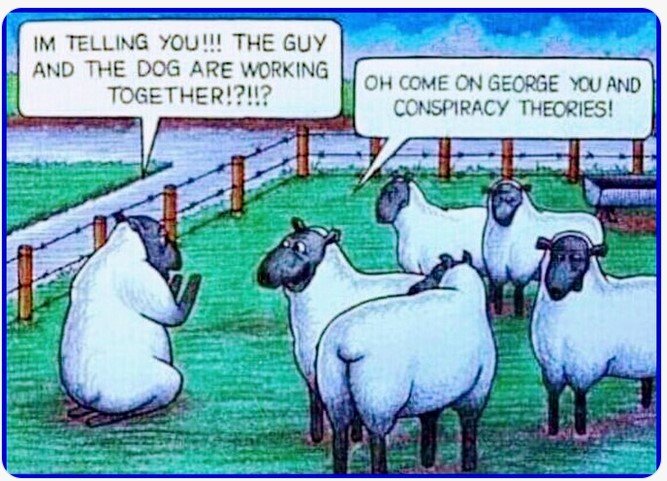 ConspiracySheep.jpg.a5cd1d9818df66161d69095dd084c3ad.jpg