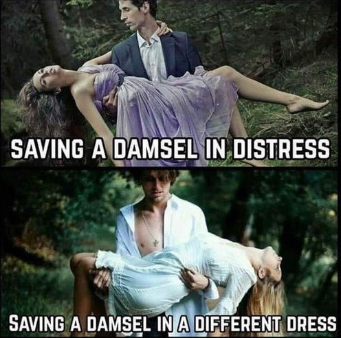 DamselInDistress.jpg.be042109aa012cc89cf34fd1e9252abc.jpg