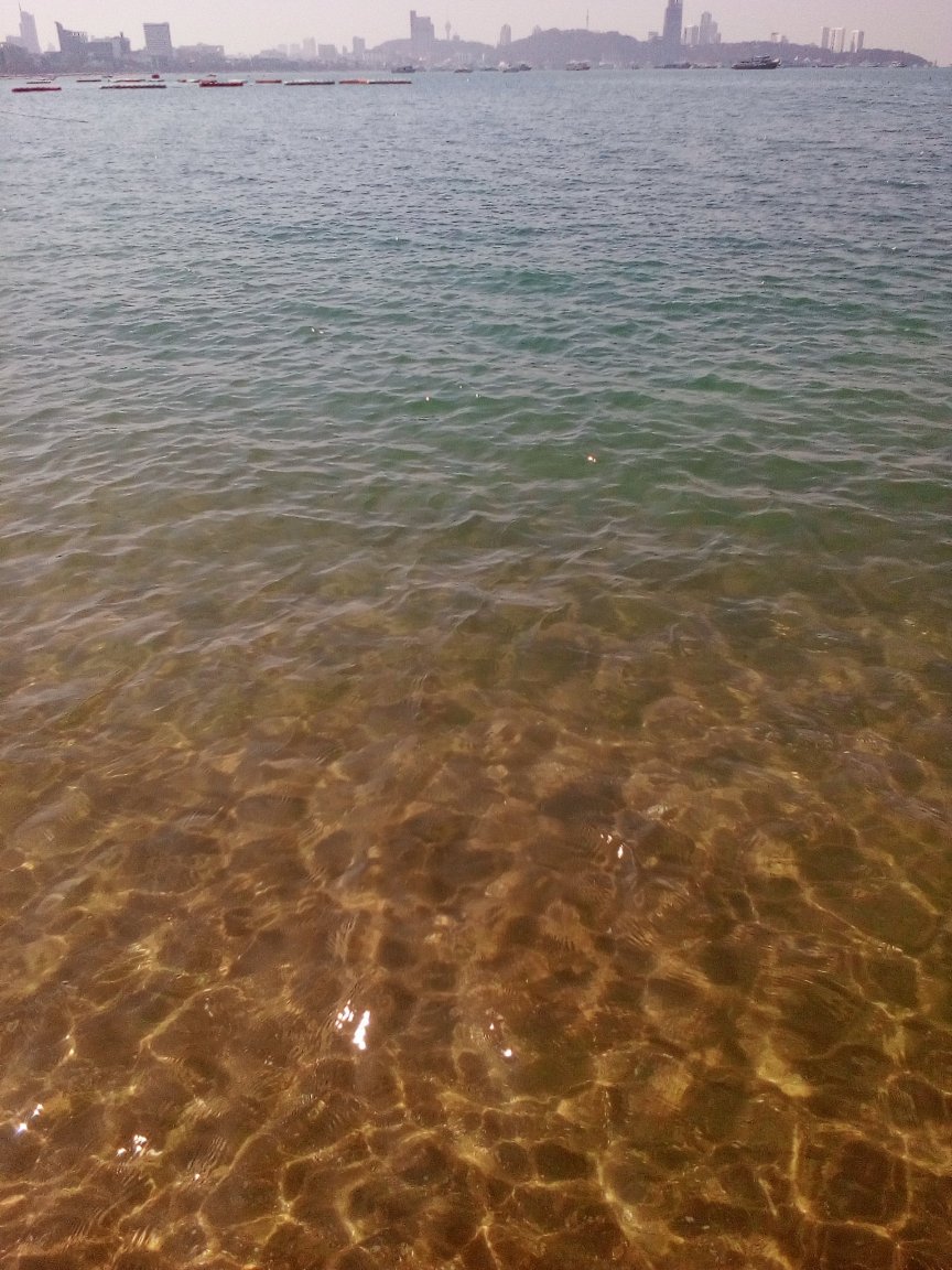 IMG_20220108_110347.jpg