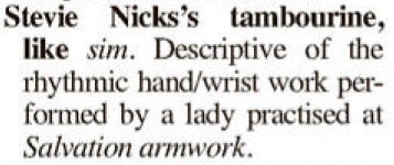 StevieNicksTAmborine.jpg.a9ec50d3518ce7d008e912381c820a7e.jpg