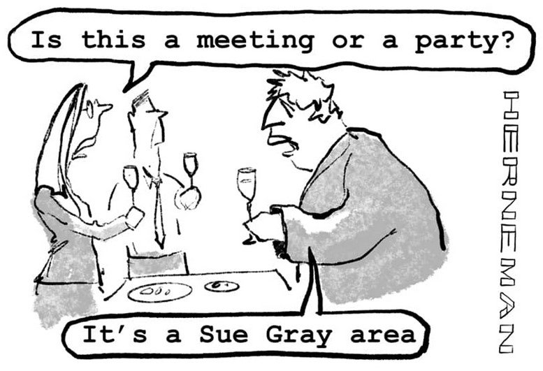 SueGRayArea.jpg.1340c74c5e3783be3a61d6374f76a4a2.jpg