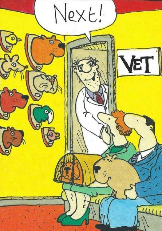 Vet_NEXT.jpg.b50eeb4ebf771adbf2ddc04e54023a02.jpg