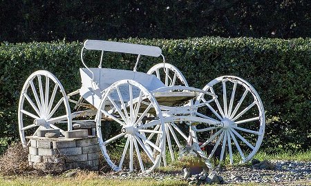 broken-buggy-roger-patterson.jpg.3f39d866fee1e76d2fc0e89554b2eacc.jpg
