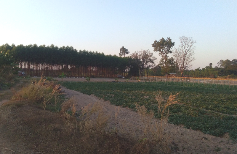 closebyfarm020.png.7d2eef5830993e7eeeb00afde24df416.png