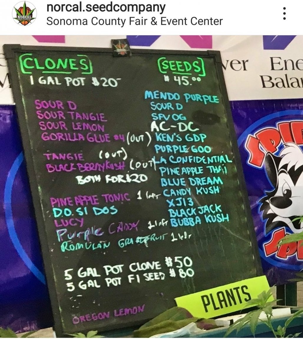 norcalSeeds.jpg