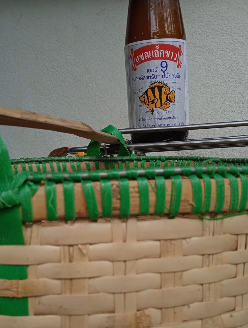 shellacedbasket.jpg