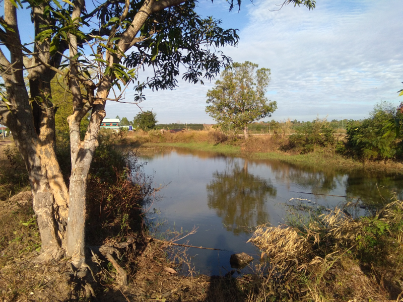 villagepond.png.d71937f646f1b5b8794b3a0ed7f3db89.png