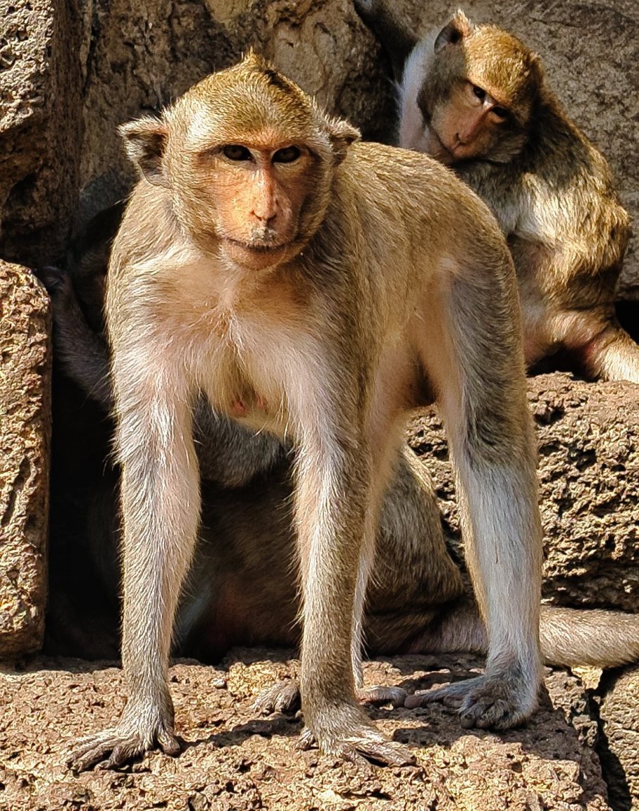 DSCF2241.jpg