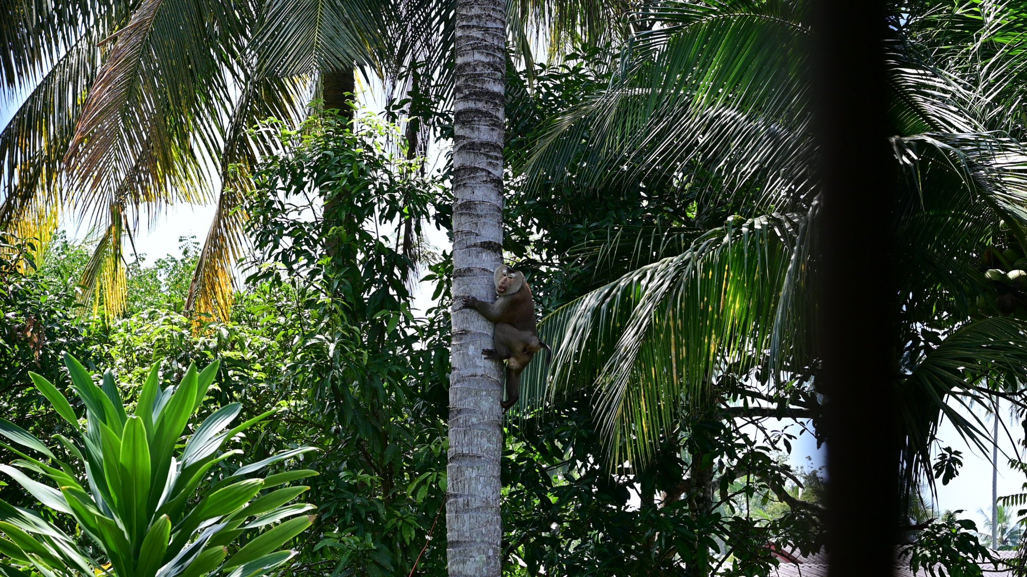 DSC_0471.JPG