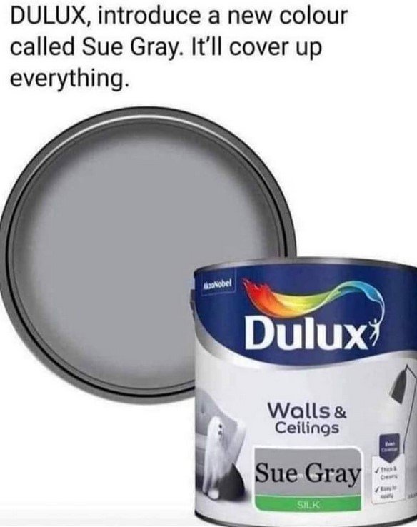 DuluxSueGray.jpg.d568eedbe084978587637bdf9436a560.jpg