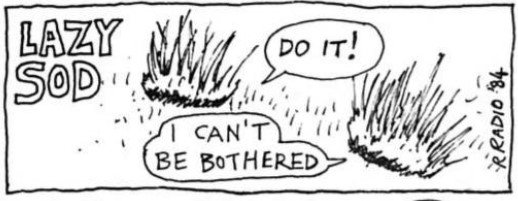 LazySod.jpg.aed4ec0aa3a097e45e5e0bf3d3014616.jpg
