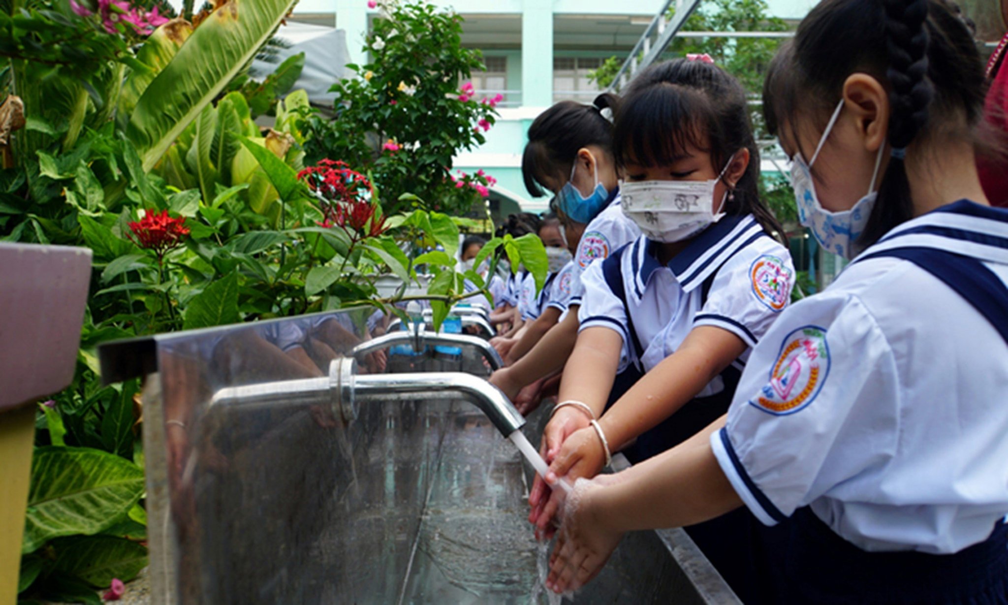 Picture1.thumb.jpg.2ecb2f6076de8a81797cc733fc54ed30.jpg