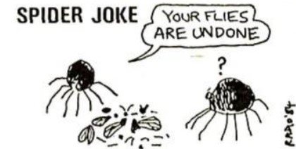 SpiderJoke.jpg.6bb8d02dcc385b05a2b15415fbdac99f.jpg
