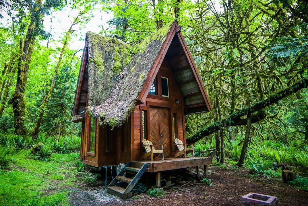 house.jpg.c3268c533b7056cc69a44032a8b54cb9.jpg