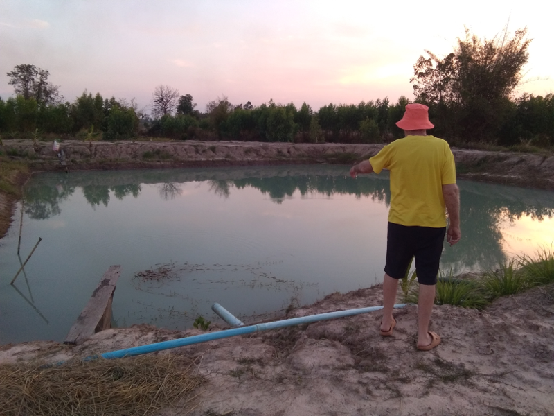 pookpond.png.f7761e6662500d756d859355362e9340.png
