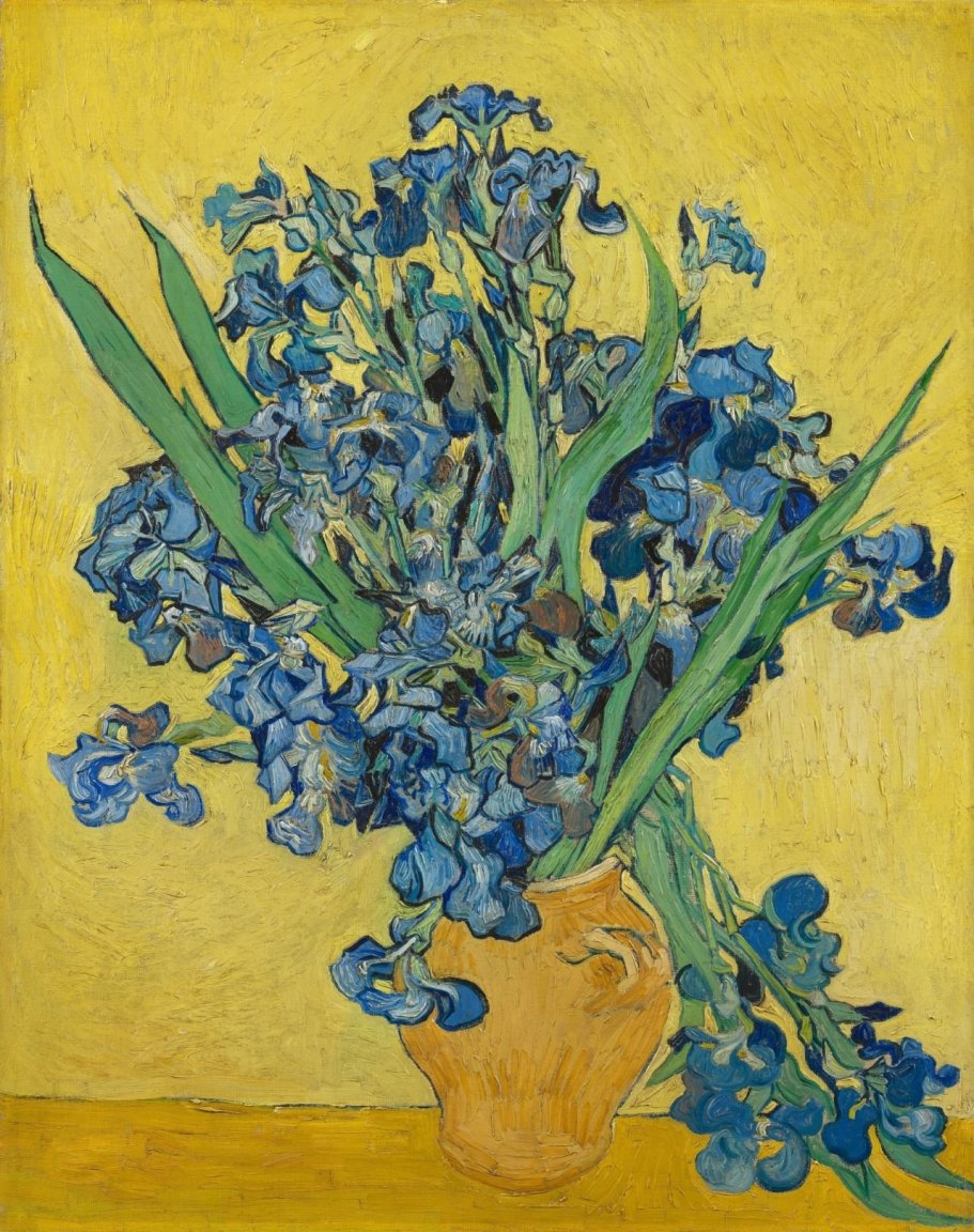 1077533142_VANGOGHIRISES.thumb.jpg.04b40753ff47ff27d1fb604128dbb7ed.jpg
