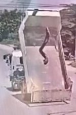 1286549983_truckrampant.jpg.533ee1debdfb9dc3cd0bab728e9fc719.jpg