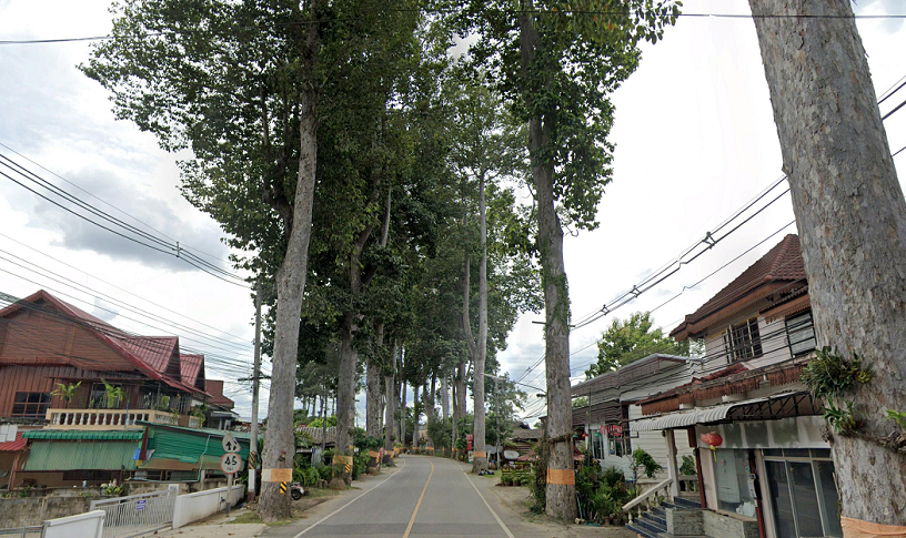 1559748390_LamptonRdChiangmai01.png.d00e65968d7e682842c0c3d91c74e497.png.7a59d28d735cc7008f36daf832c6f6b3.png