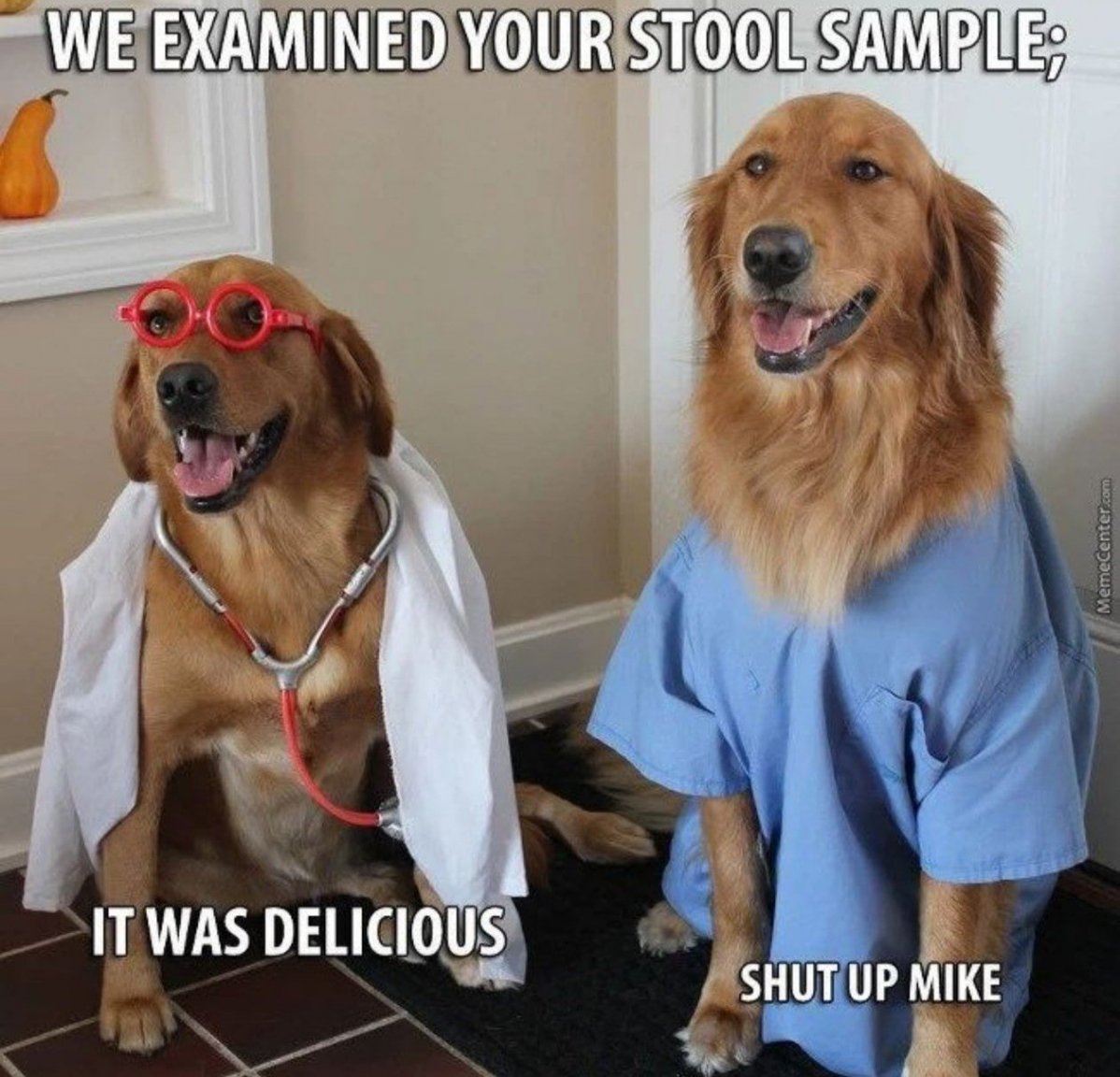 poo eaters.jpg