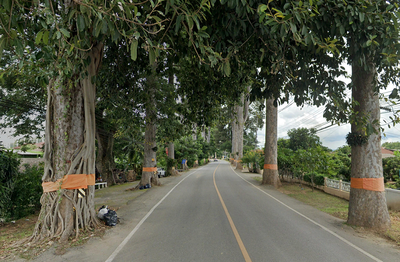 1682337335_LamptonRdChiangmai02.png.5a57e6bd78c09998f9433acc9f5f3214.png.7254f50985e6f626a73826e9f4674727.png
