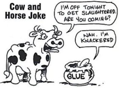 522782639_CowHorseJoke.jpg.b944b0f6def44ec4e8dc62e87ca32dc8.jpg