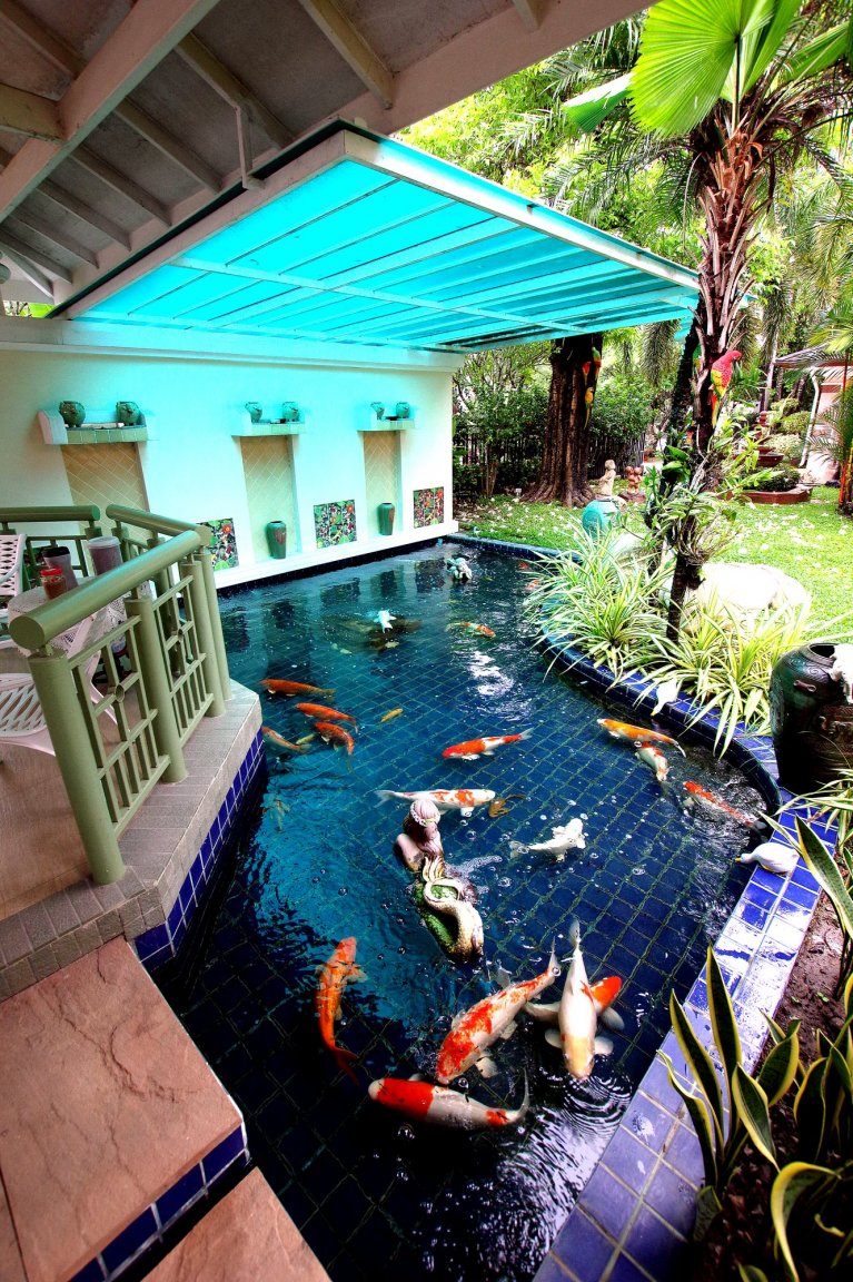Fish Pond.jpg