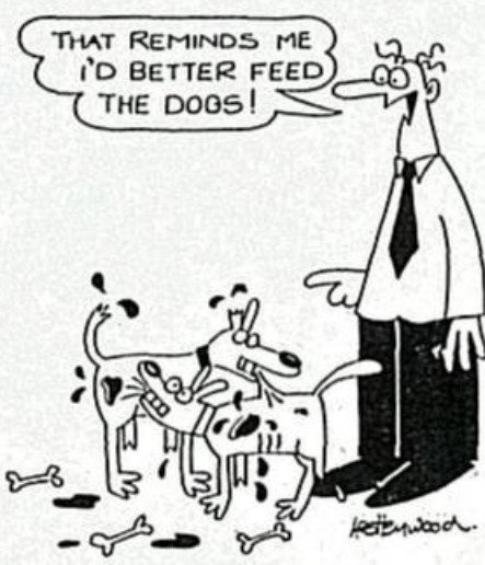 DogFeedReminder.jpg.6ae61ce619a863fcae35acac7511e98e.jpg