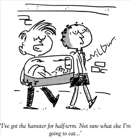 HalfTermHamster.jpg.863ce59f5180dac9d2356b56b7c4a25f.jpg