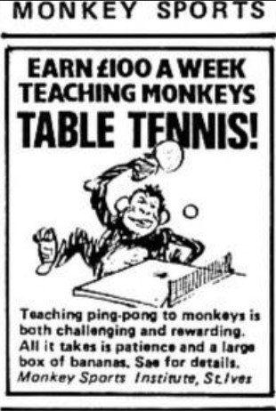 MonkeySports.jpg.6f6e1a6d3ea37b0d6ab07e694d4ac03f.jpg