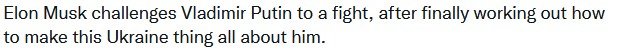 Musk_Putin.jpg.b4cb83a994ed259d457a9ff391fa8d51.jpg