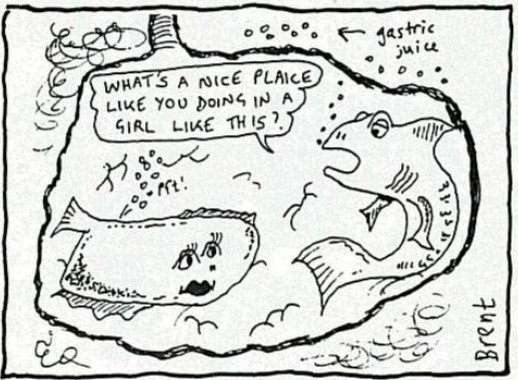 NicePlaiceLikeYou.jpg.40f9268b1cbf4568b323cdc72b96c268.jpg