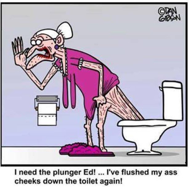 Plungers.jpg.098cd1c39d671c8f8be8af970c9704c9.jpg