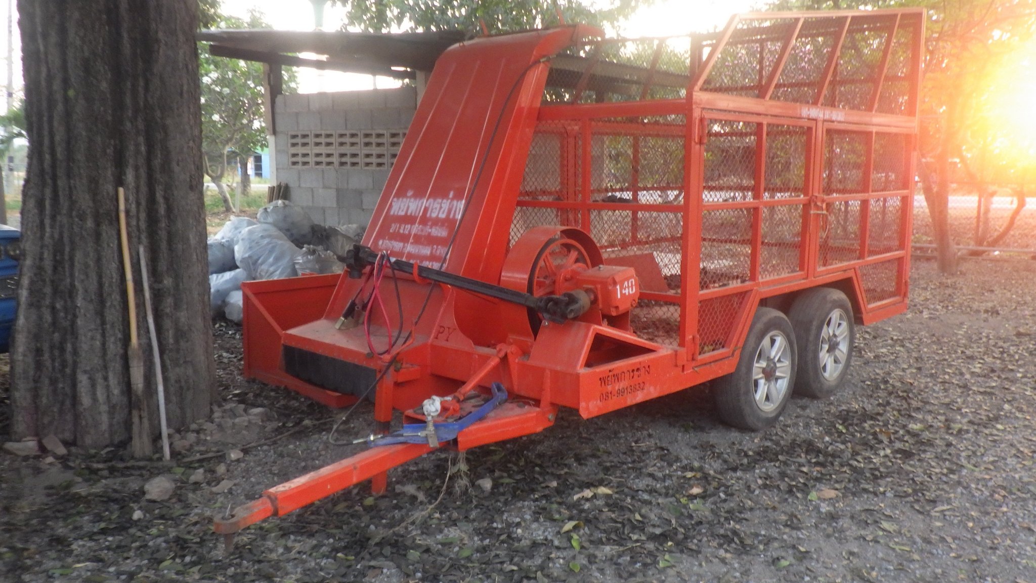 RIMG0977.JPG