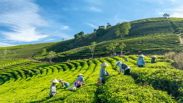 828206813_DaLat.png.8baa51d10c148ca972925e4cf6278797.png