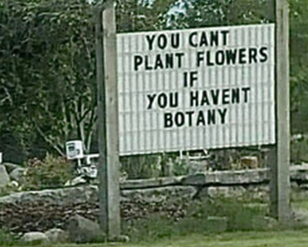 Botany.jpg.899f1bc5369f2ea4b7ca31a911e53f28.jpg