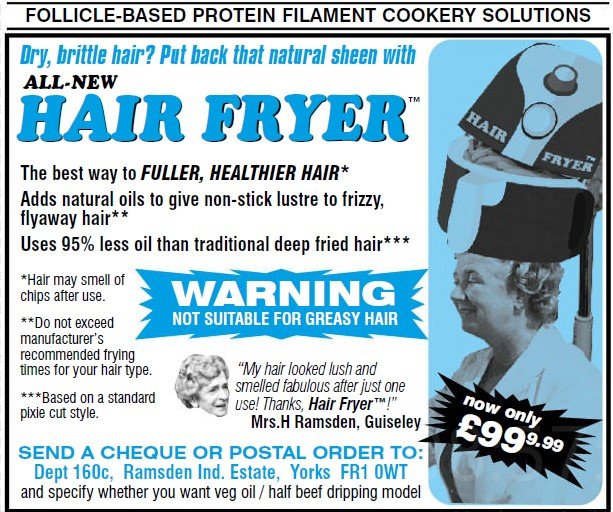 HairFryer.jpg.78cef5760de9f35c17fcdbde09f322d8.jpg