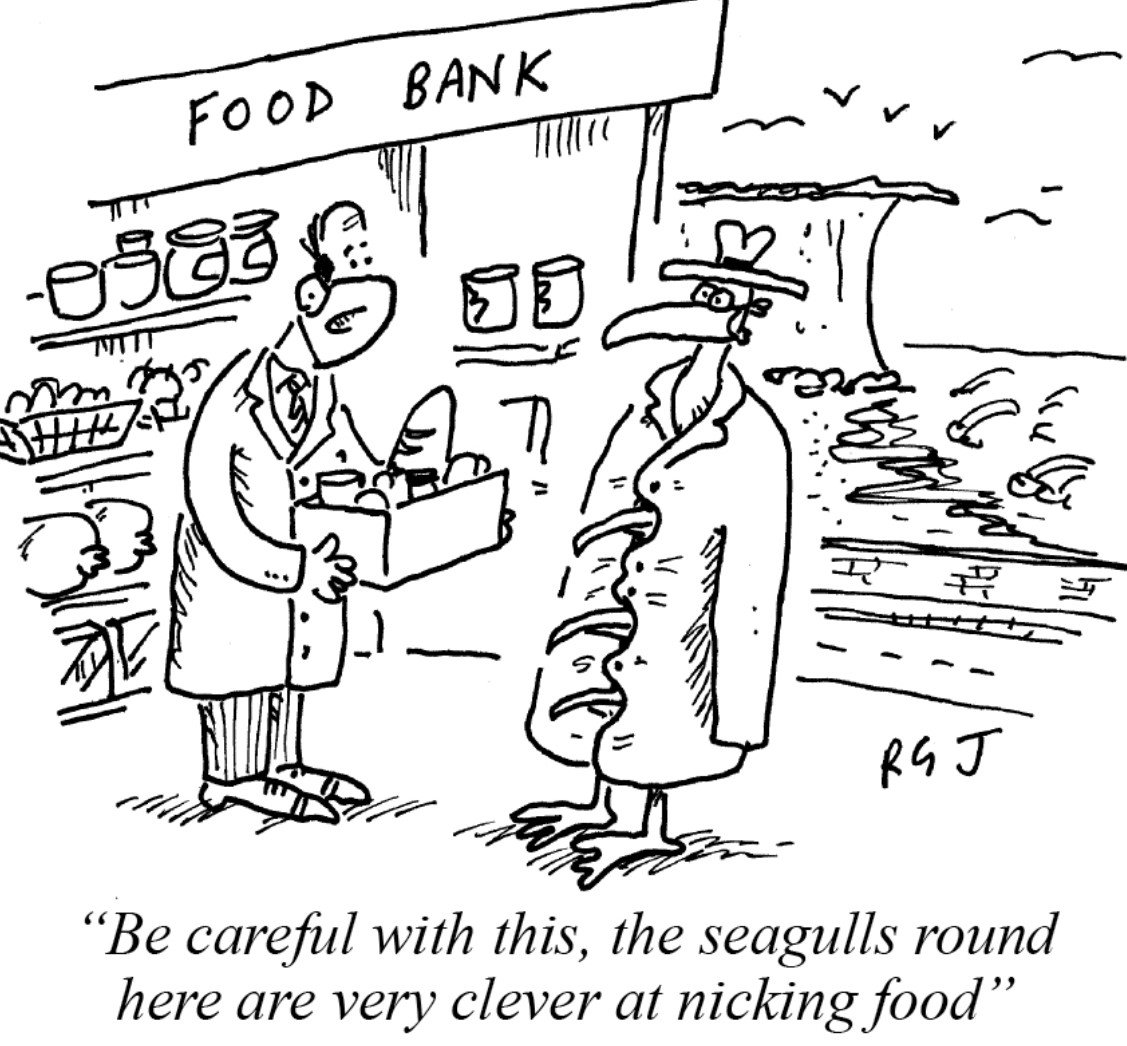 SeagullsFoodbank.jpg.337841b6587ccfad9b18486b68799cad.jpg