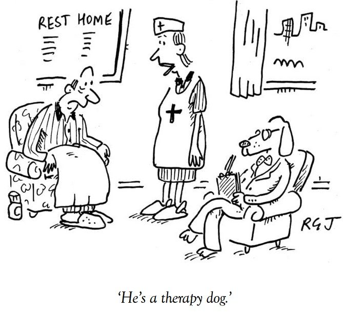 TherapyDog.jpg.08d245e2935e34d820287799edaf46f0.jpg