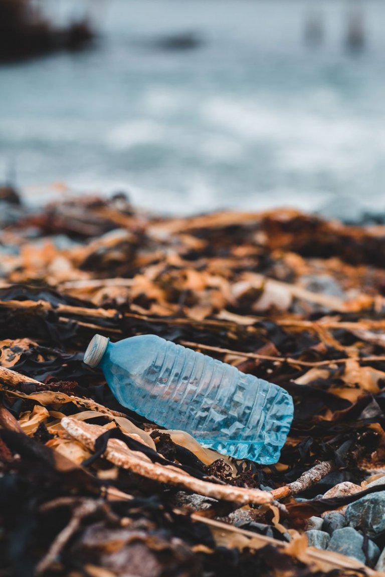 erik-mclean-GjCx5KhulZI-unsplash.jpg