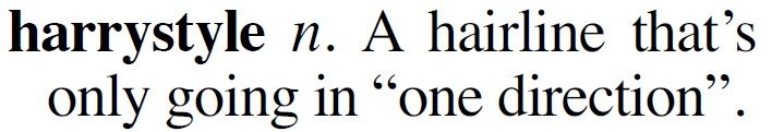 harrystyle.jpg.778d5e328dfe3c272b5e4c4ba3fe2ebe.jpg