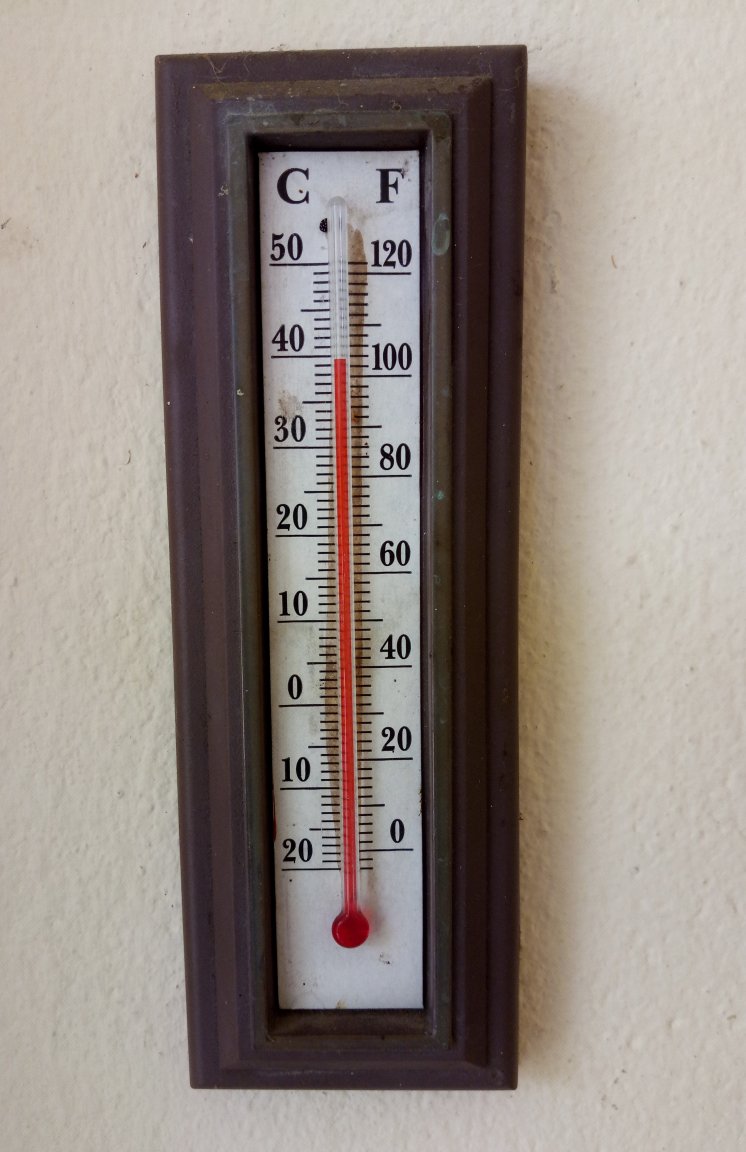 temp.jpg