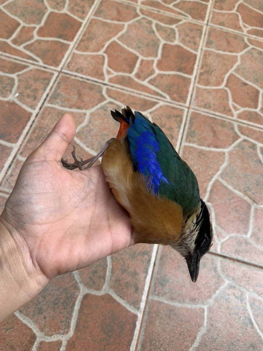 1653395276987.jpg