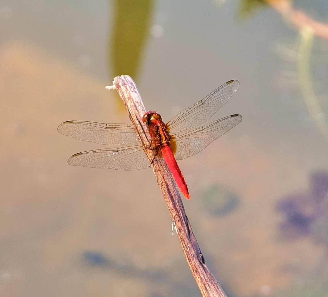 DSCF3755.jpg