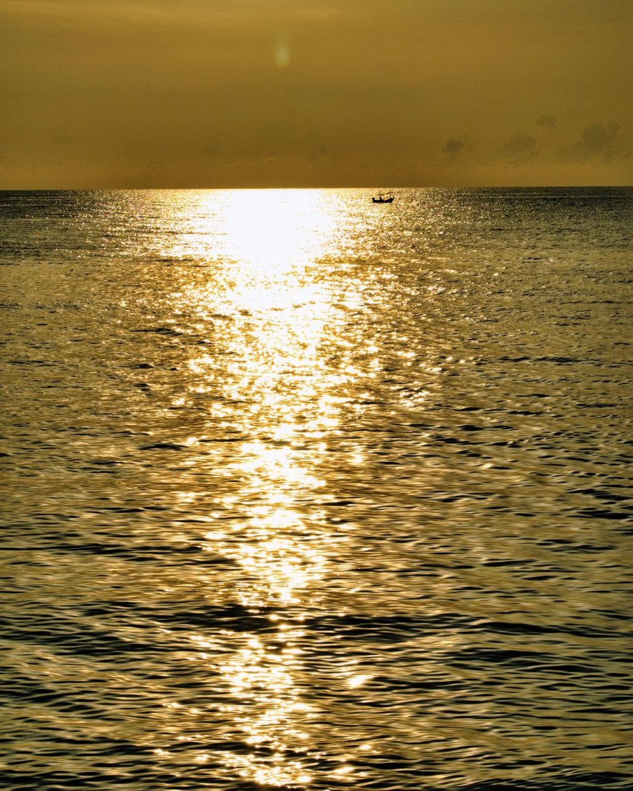DSCF4501.jpg