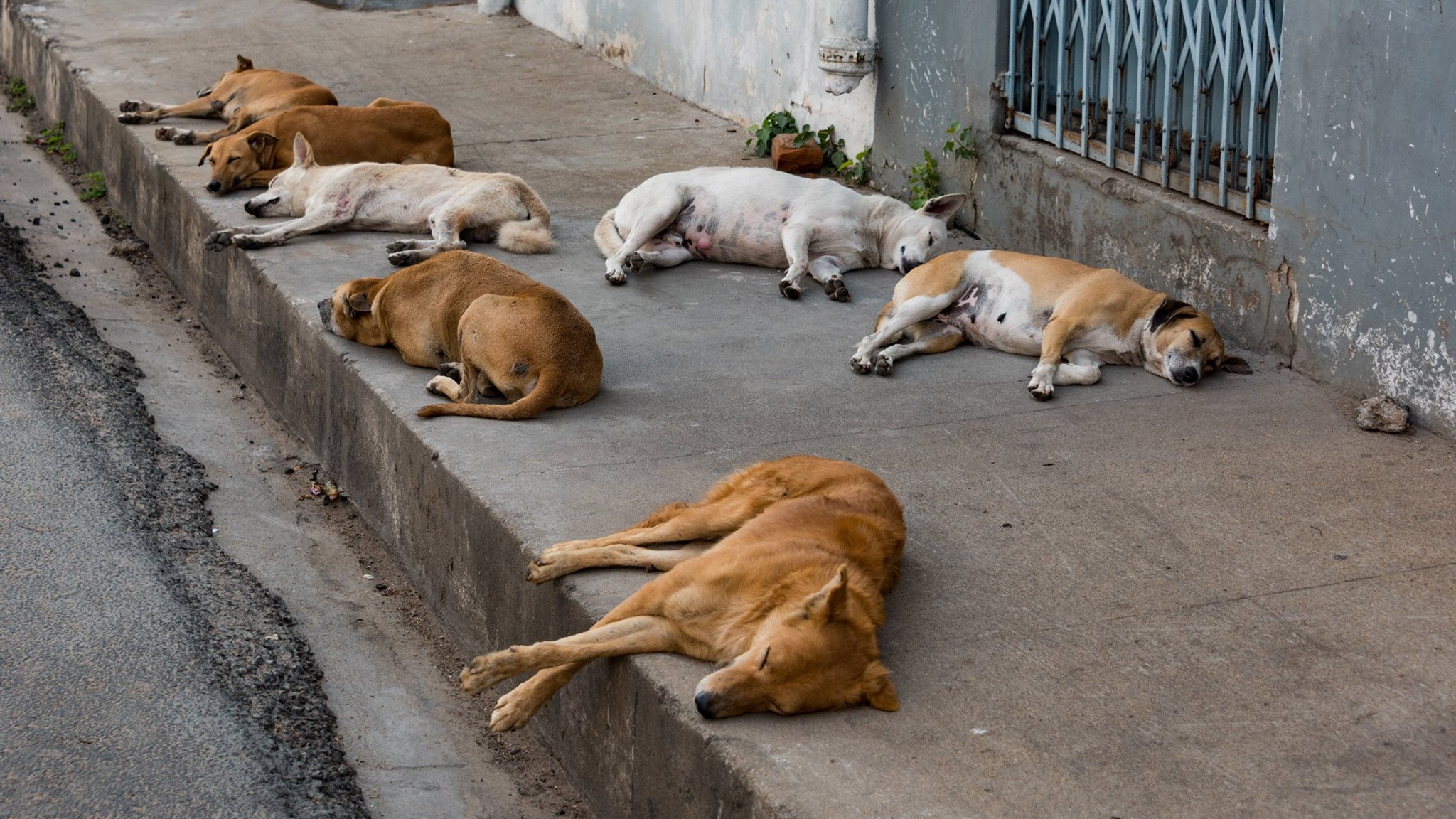 GettyImages-668030048_2400.jpg