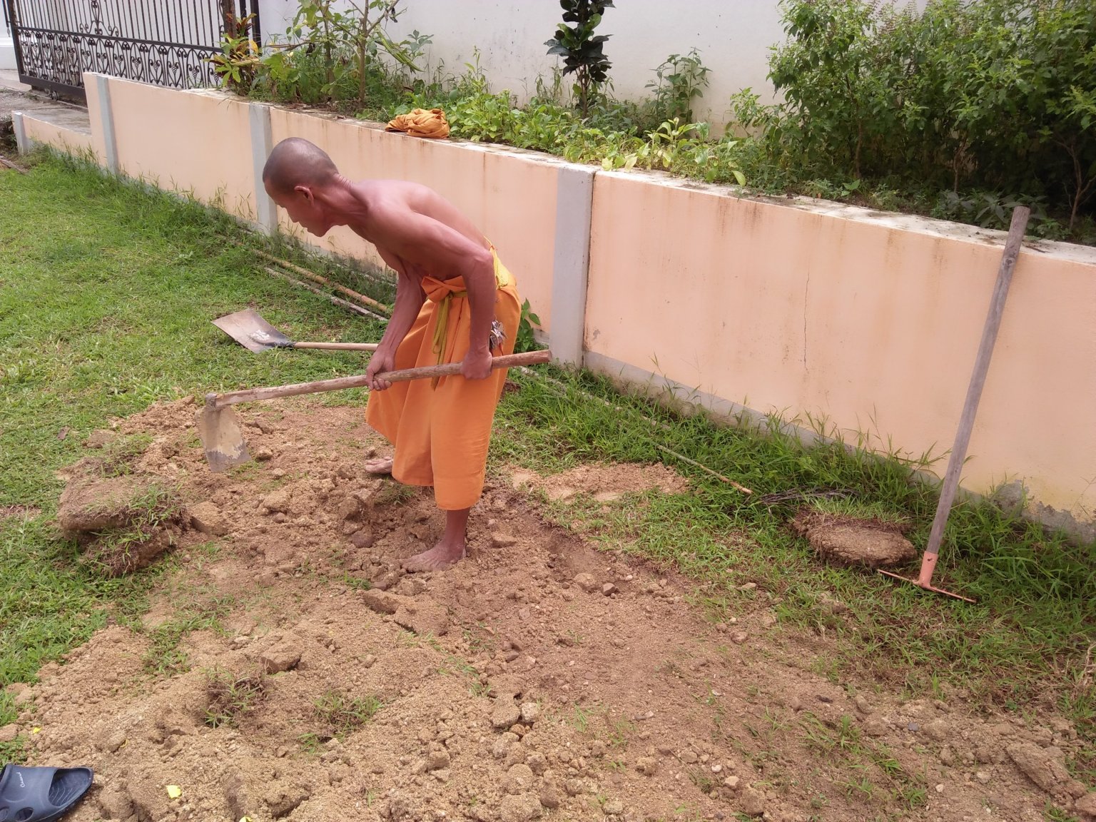 IMG20201015121636.jpg